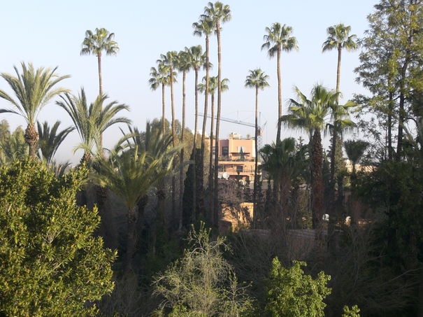 Un RDV à Marrakech ?